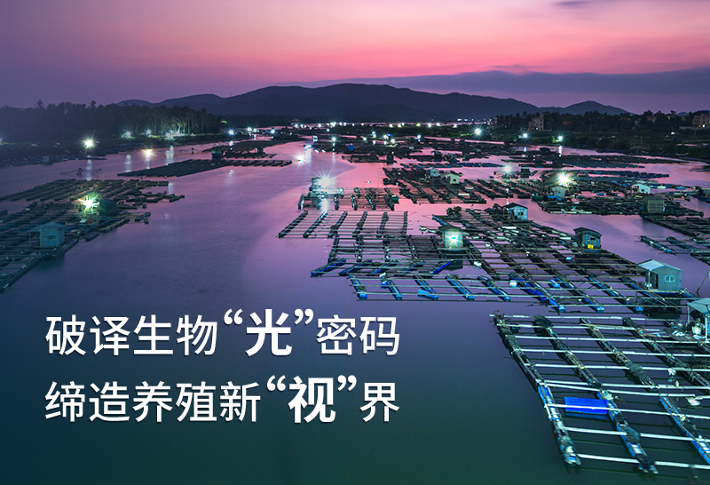 金鼎国际(中国区) - 官方网站